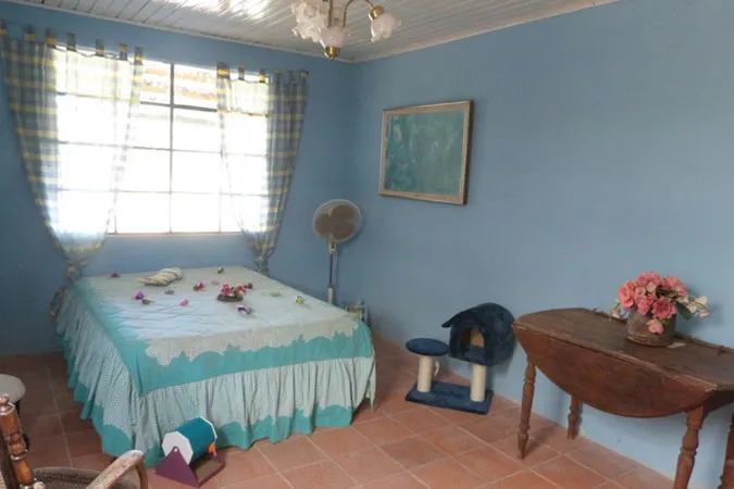 El cuarto de los gatitos: una cama, un rascador junto a la ventana y una mesa de madera con flores