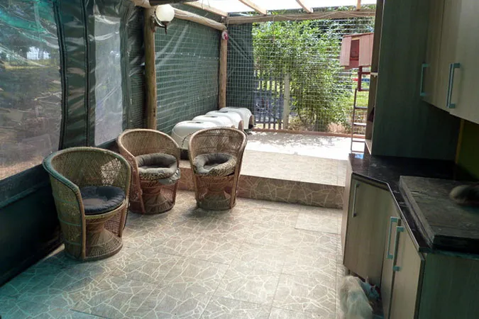 Gatio de las hembras: sillones de mimbre y cuchas sobre piso de baldosas, cerrado con tejido